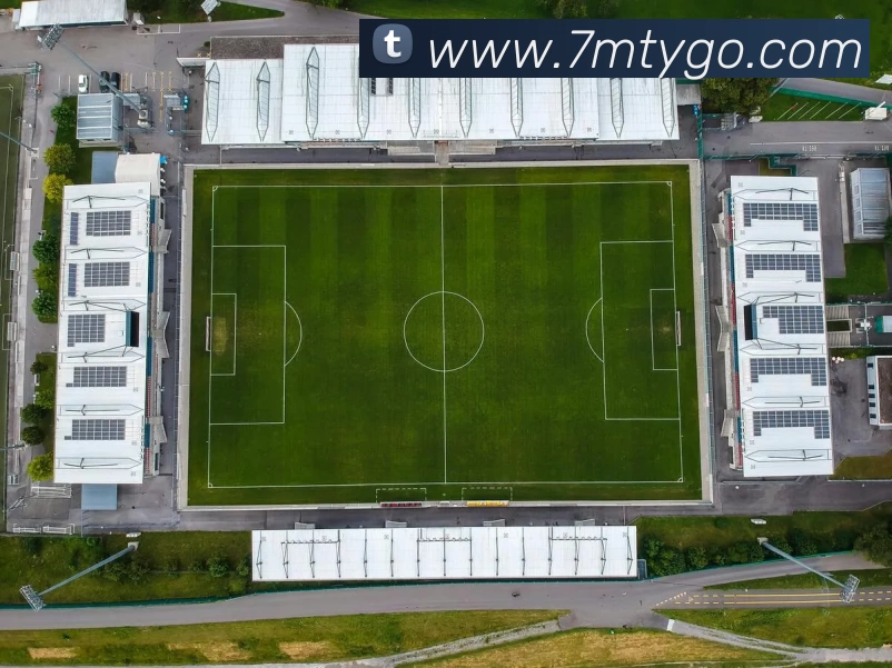 7M体育发展历程